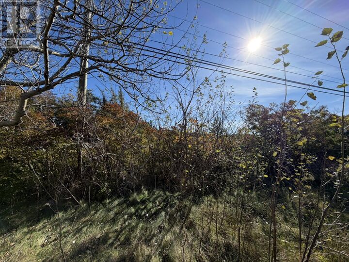 Property Photo:  1812-1818 Conception Bay Highway Highway  NL A1X 6N1 