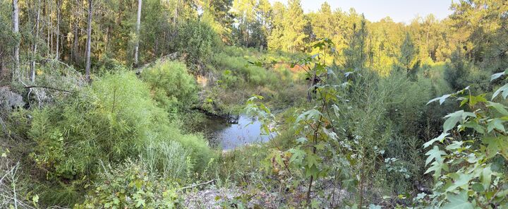 Property Photo: 15.97 Ac. Hwy 183 A Parcel B FL 32455
