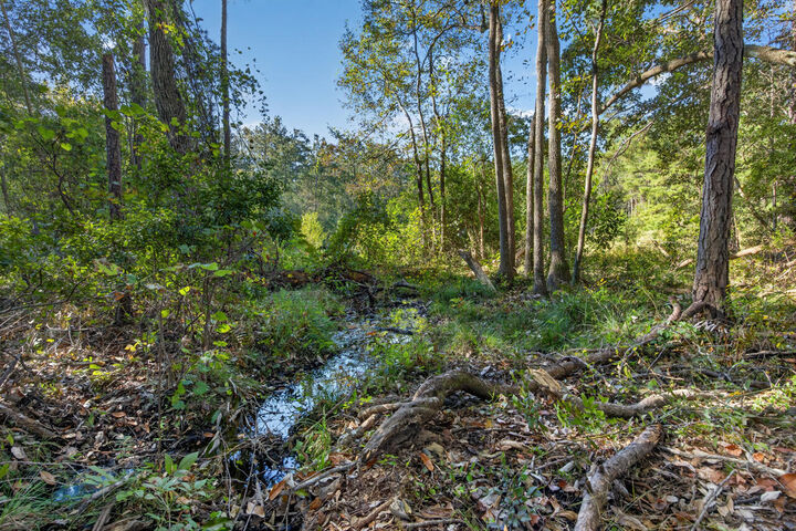 Property Photo: 15.97 Ac. Hwy 183 A Parcel B FL 32455