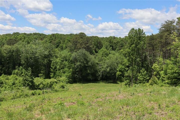 Property Photo: 0 Parksbrook Road GA 30540