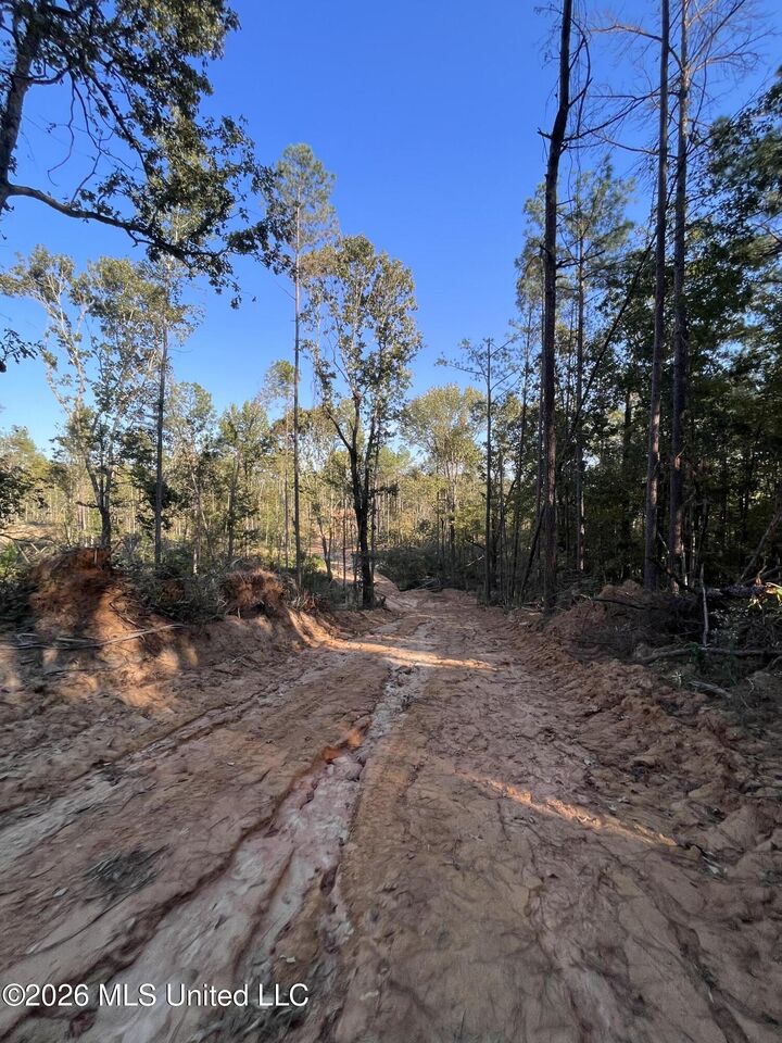 Property Photo:  Mississippi Highway 310  MS 38619 