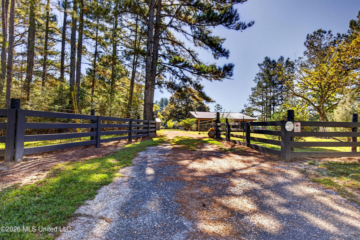 Property Photo:  646 Stump Texas Road  MS 39455 