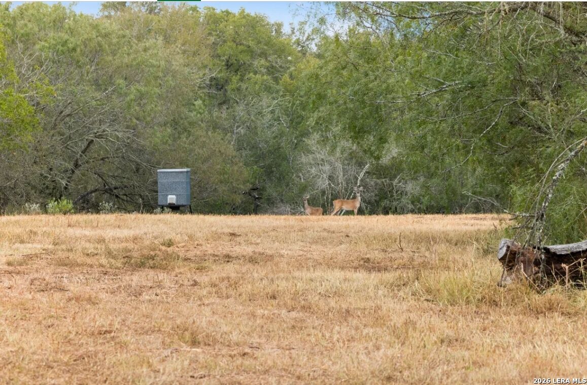 Property Photo: 000 Cr 171 TX 78140