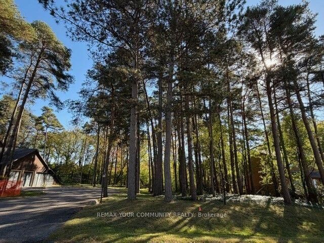 Property Photo:  34B Cynthia Crescent  ON L4E 2R1 