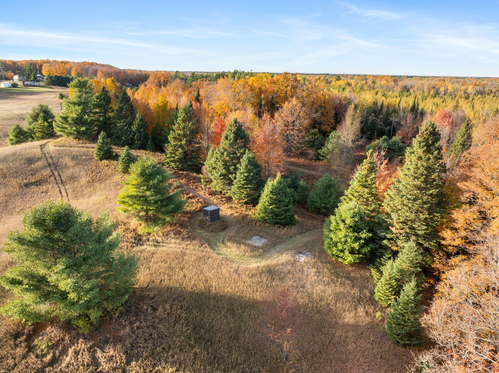 Property Photo:  7726 Reed Road  MI 49755 