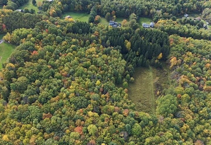 Property Photo: 65 Hawkins Hill Road NY 13833