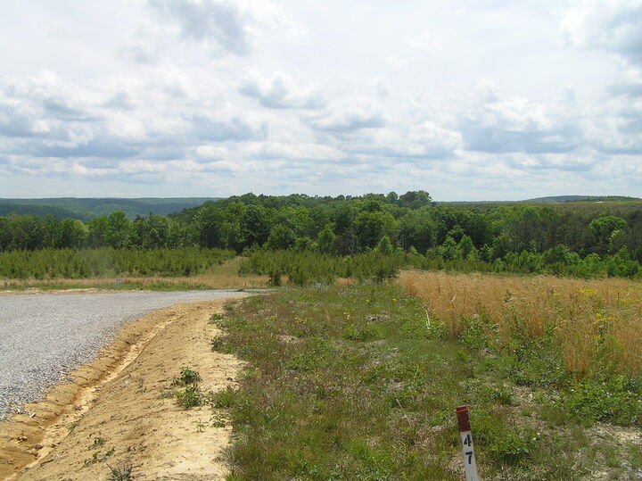 Property Photo: 47 Pineview Road TN 37327