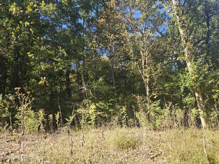 Property Photo:  712 S Farnum St  TN 37737 