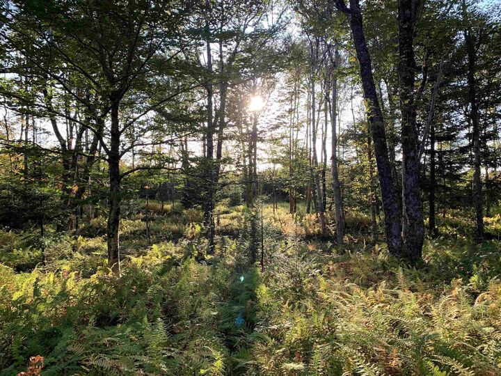 Property Photo:  Block 4 No 316 Highway  NS B0H 1J0 