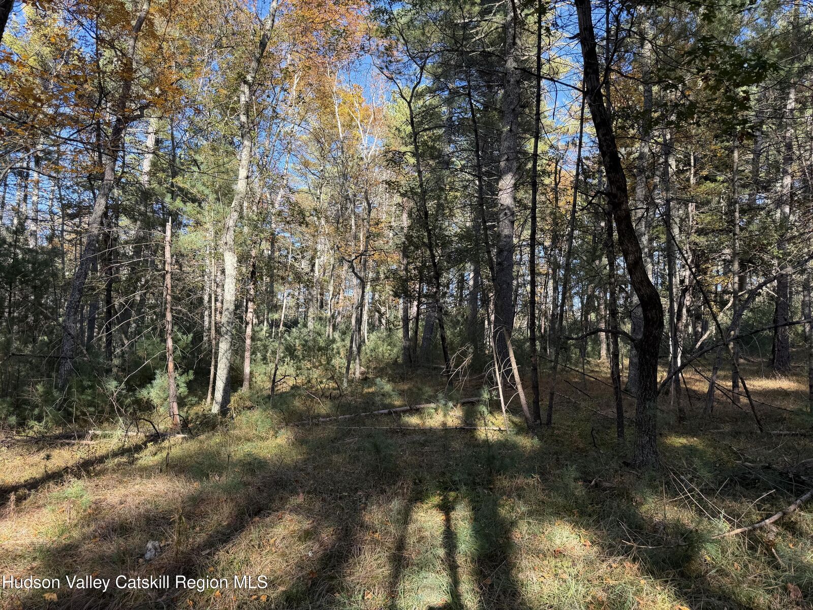 Property Photo:  Tbd Reichel  NY 12443 
