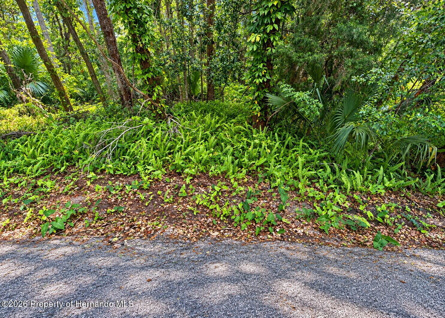 Property Photo:  0 Olive Street  FL 34601 