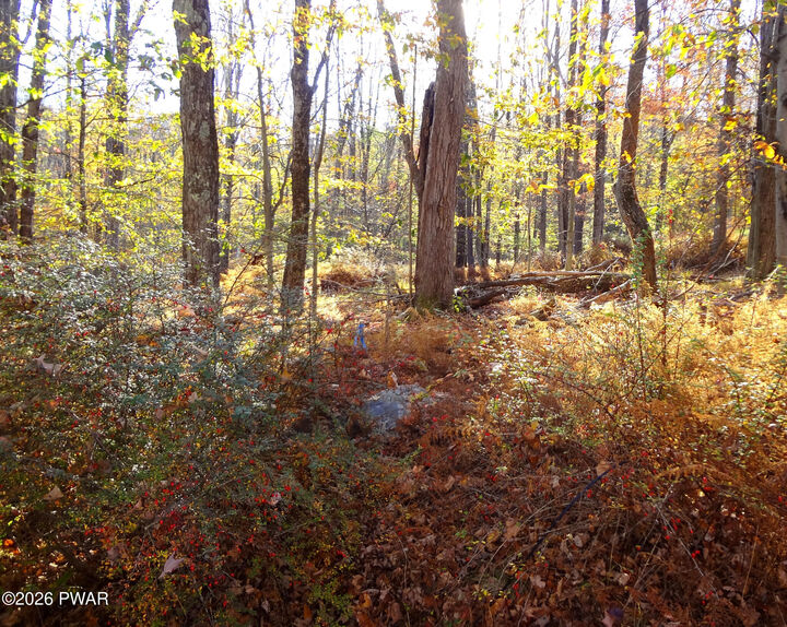 Property Photo:  Lot 380 Colonial Lane Lane  PA 18426 
