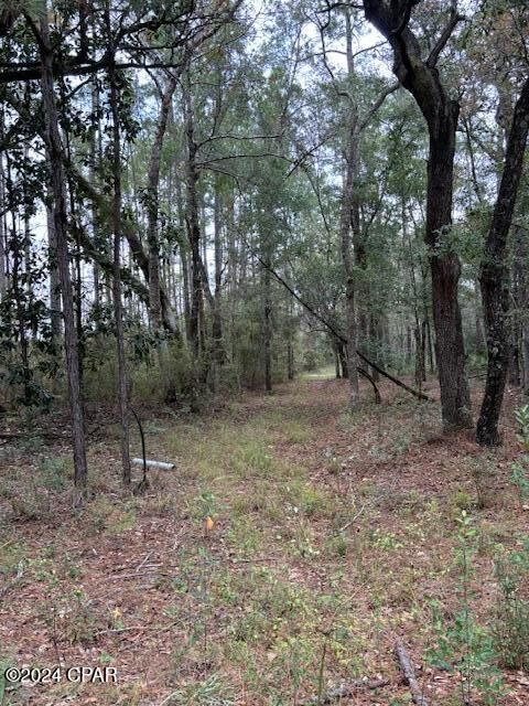 Property Photo:  00000 Everest Drive  FL 32428 