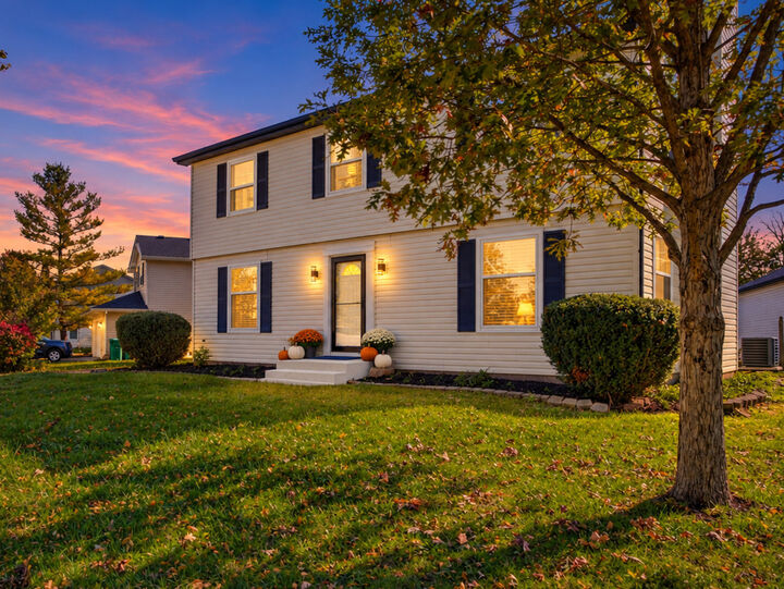 Property Photo: 6514 Walter Adamic Lane IL 60586