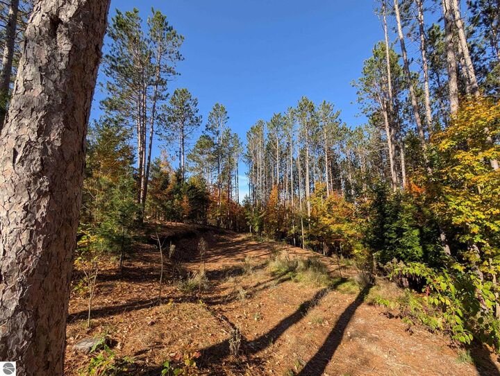 Property Photo: 767 Eden Street MI 49649