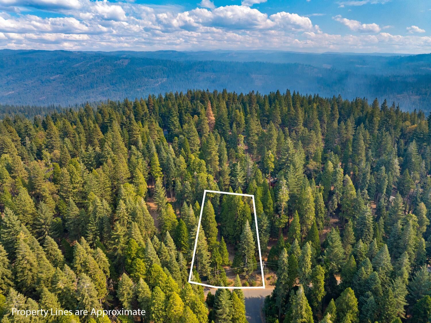 Property Photo:  2875 Shoshone Drive  CA 95223 