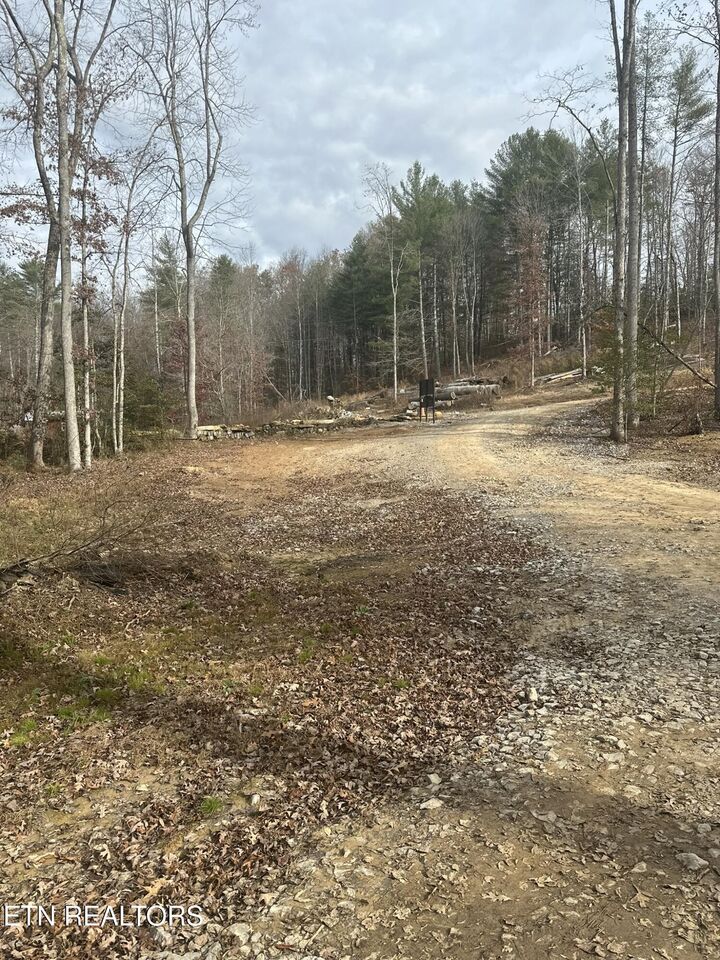 Property Photo:  247 Copperhead Rd  TN 37829 