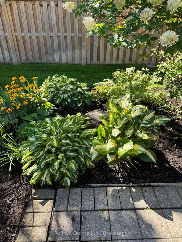 Property Photo:  11 Janlyn Crescent 8  ON K8N 5R4 