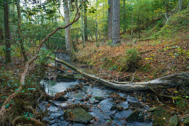 Property Photo: Lot 162 Lecroy Drive GA 30540