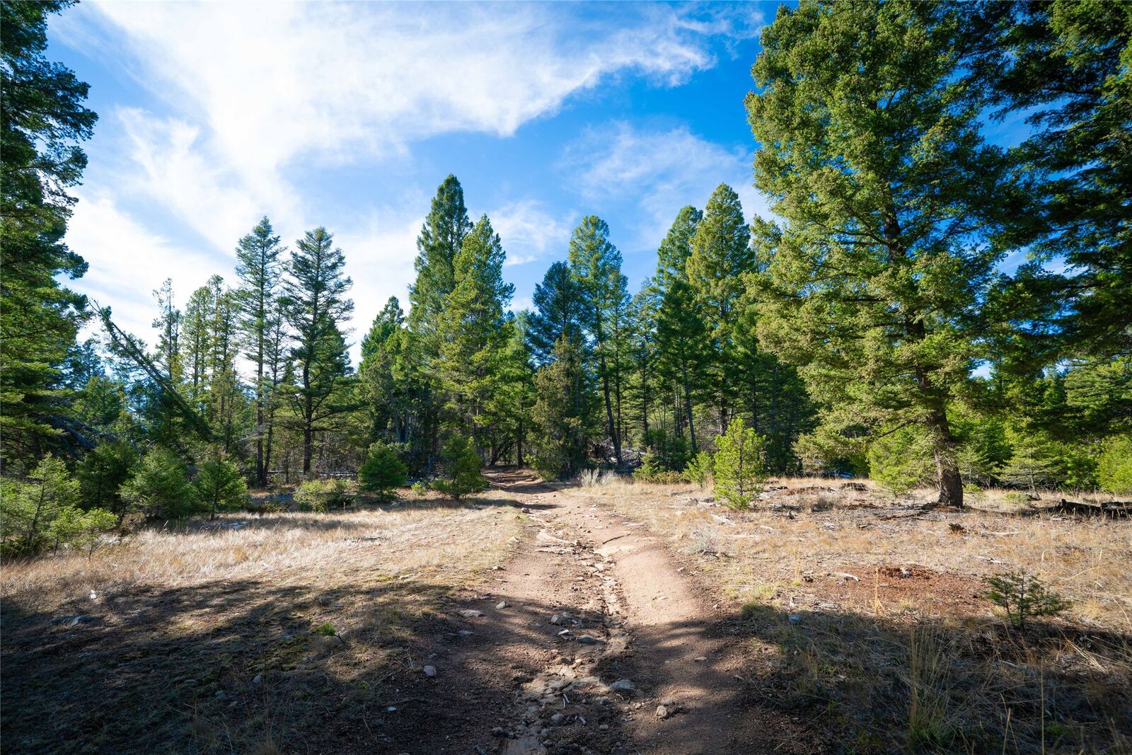 Property Photo:  Tbd Delmoe Lake Road  MT 59276 
