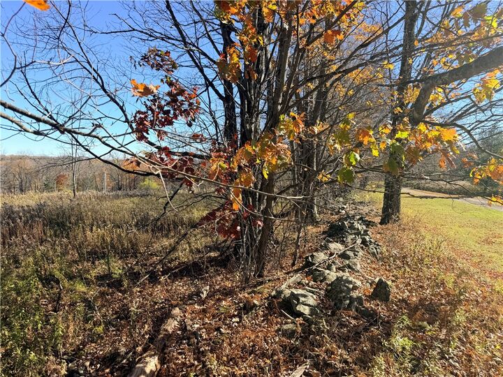 Property Photo: 0 Parker Schoolhouse Road Extension NY 13750