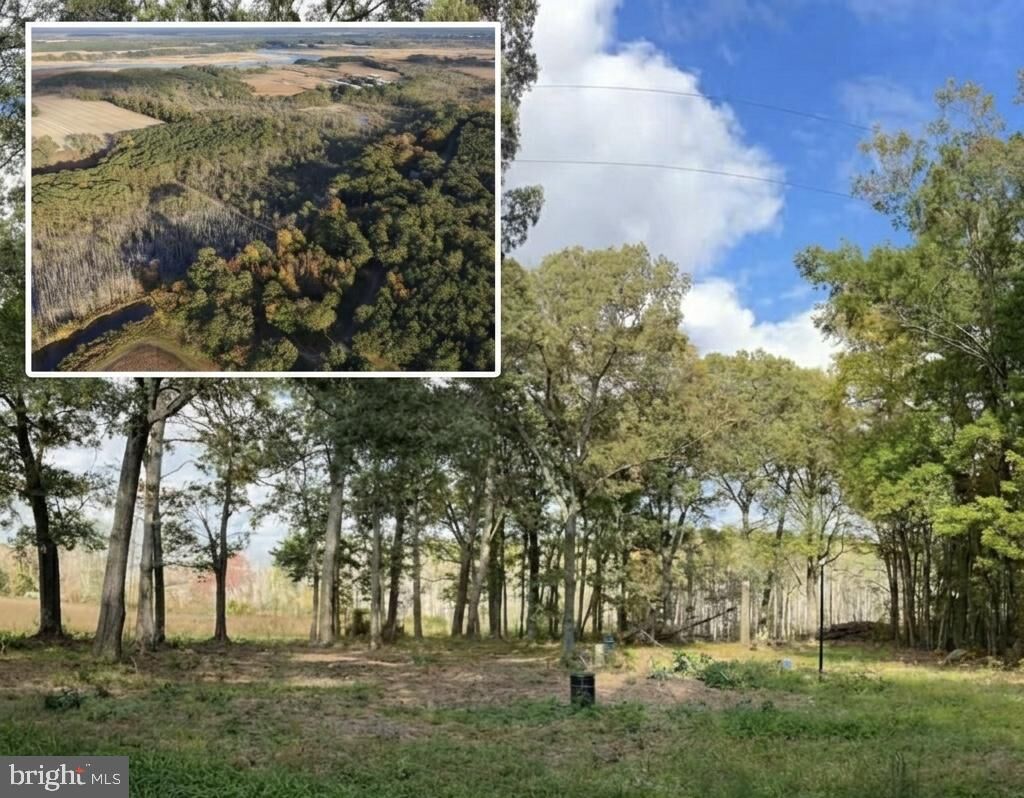 Property Photo:  4743 Shelltown Road  MD 21838 