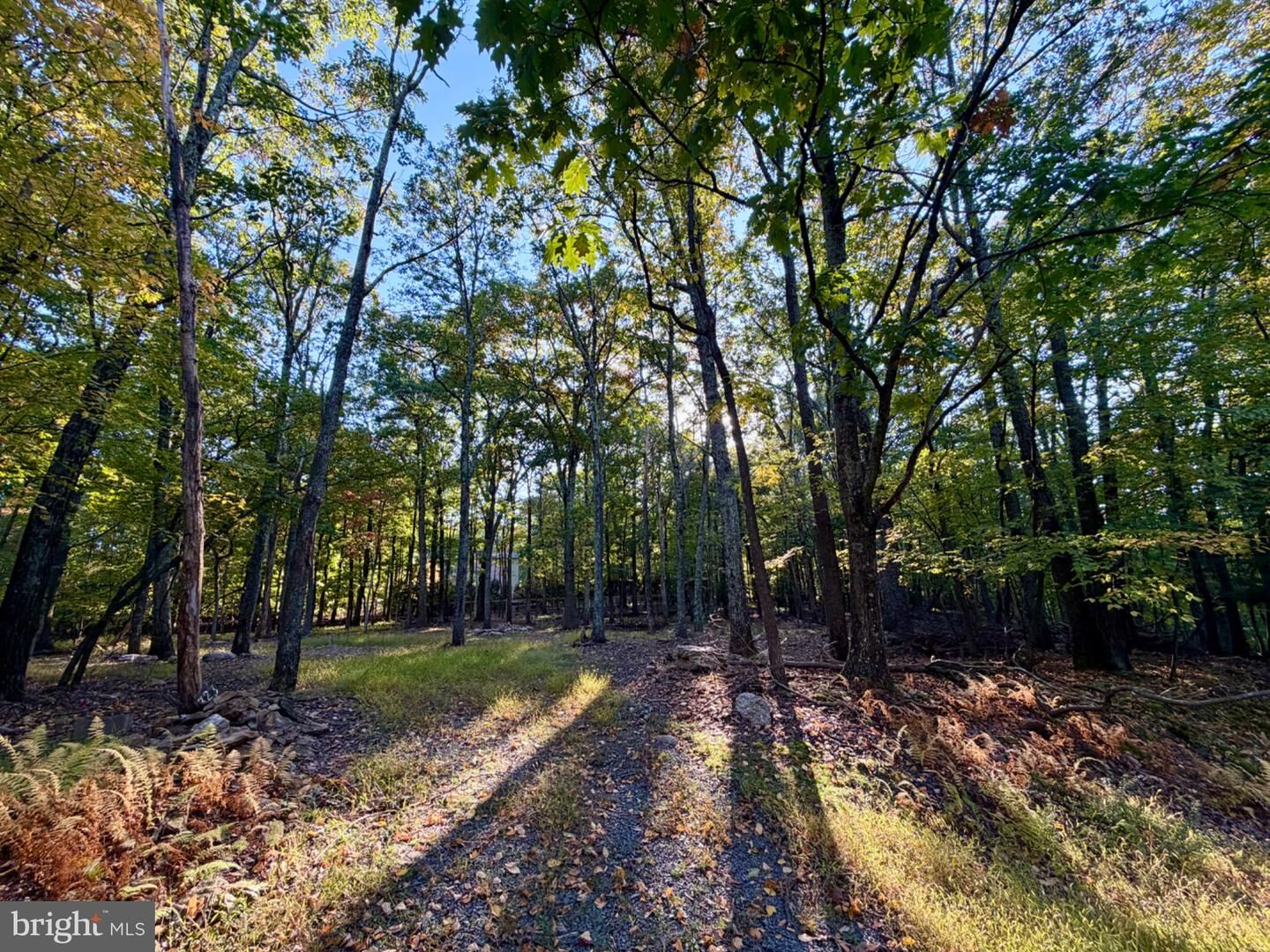 Property Photo:  323 White Face Circle  PA 17985 