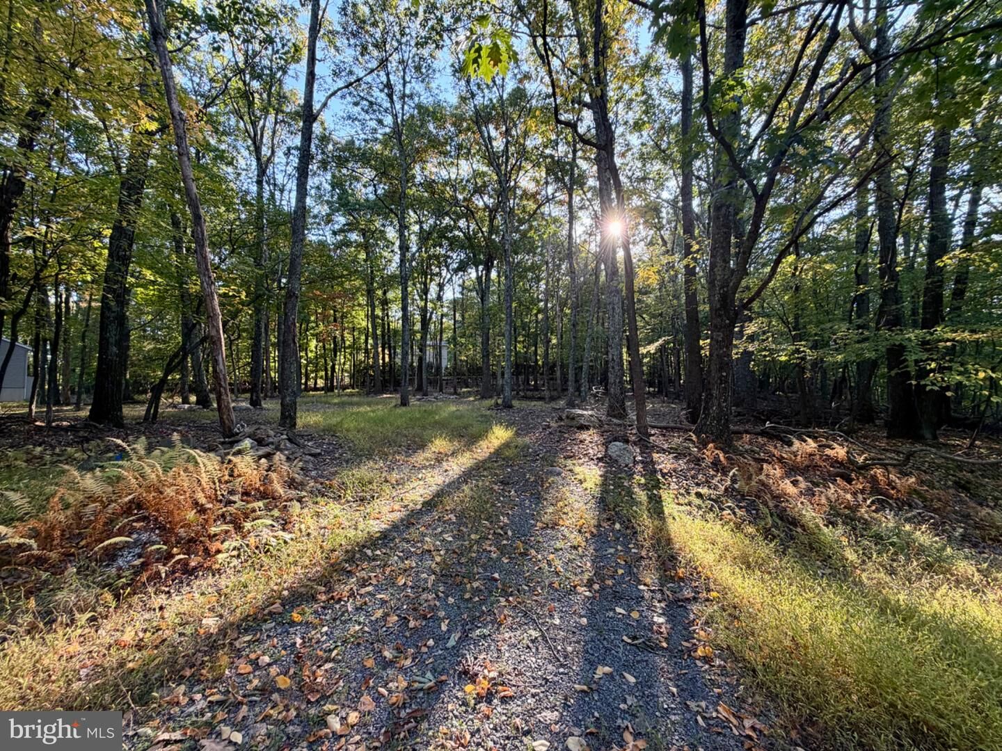 Property Photo: 323 White Face Circle PA 17985