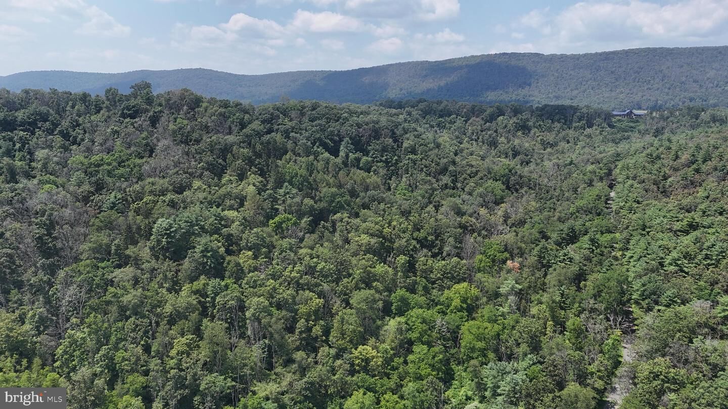 Property Photo:  Shade Hollow Road  PA 17751 