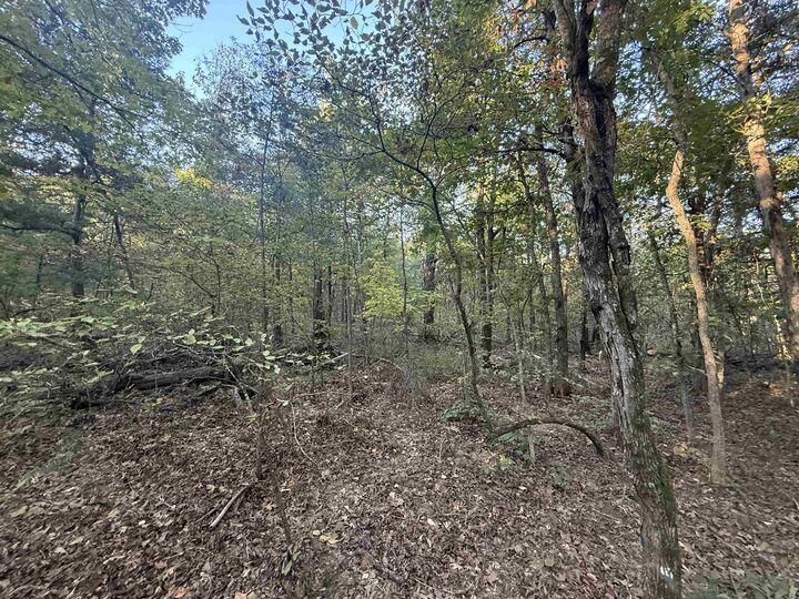 Property Photo: Tbd 56 Highway AR 72569