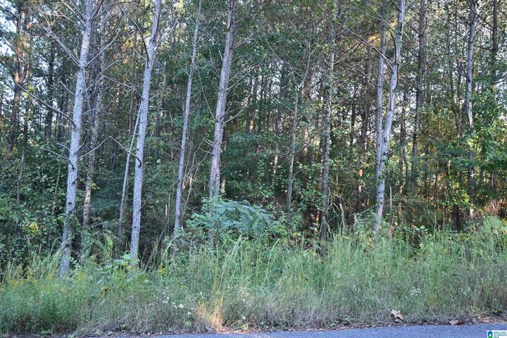 Property Photo:  Willowbrook Court Lot 22  AL 35049 