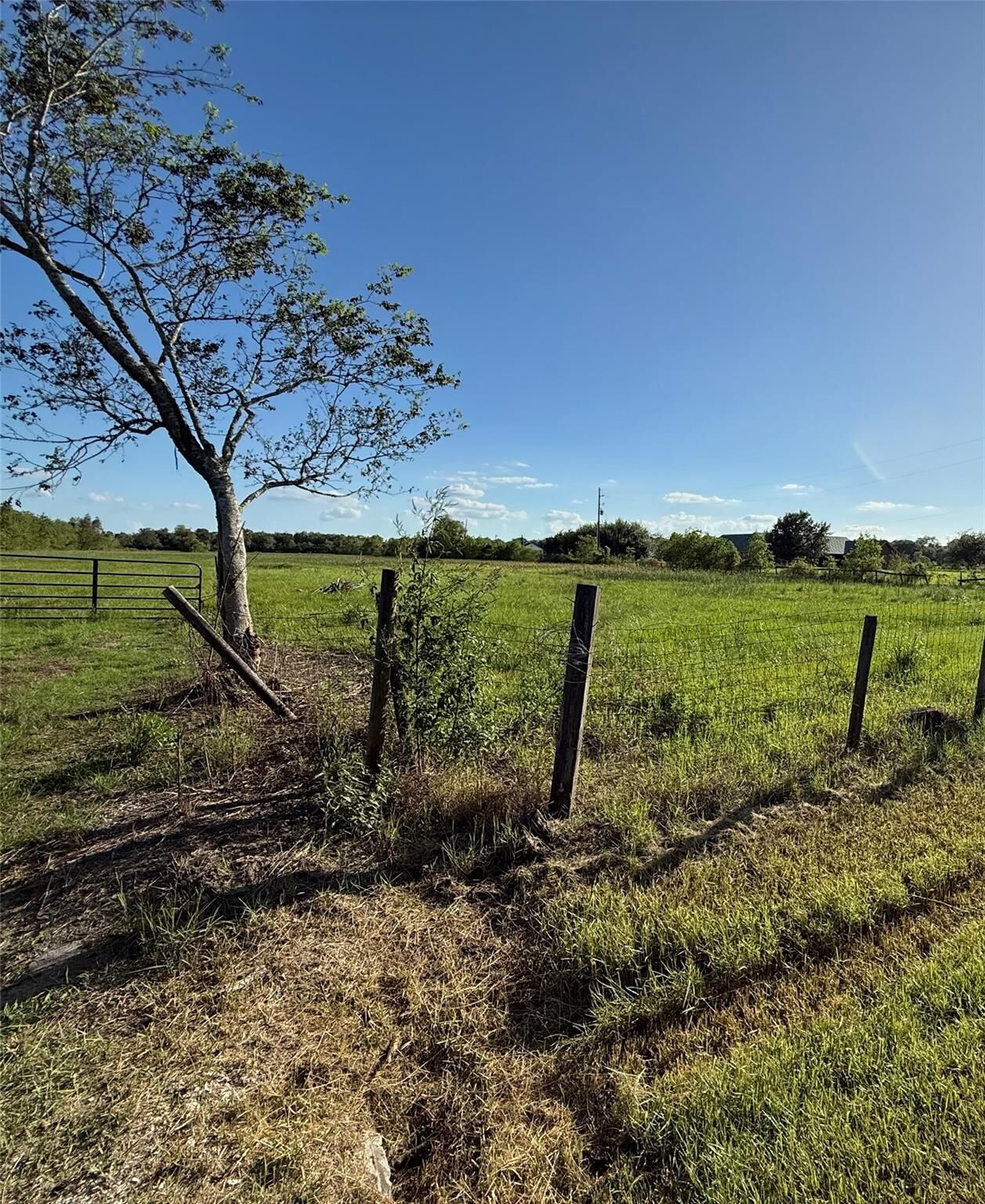 Property Photo: 8403 Kidd Road TX 77713