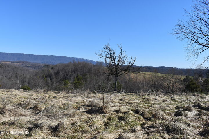 Property Photo:  787 Oak Grove Rd  TN 37752 