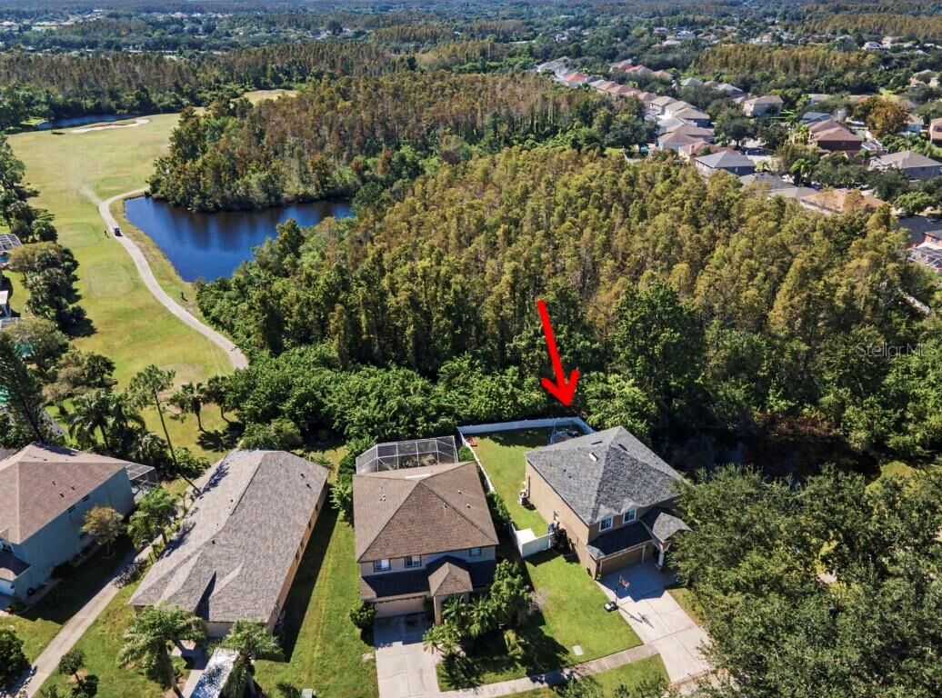 Property Photo:  19266 Fishermans Bend Drive  FL 33558 