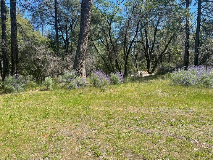 Property Photo: 0 Lumpkin CA 95966
