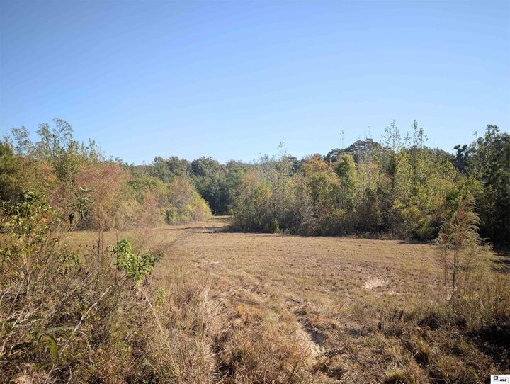 Property Photo:  0 Richard Coker Road  LA 71291 