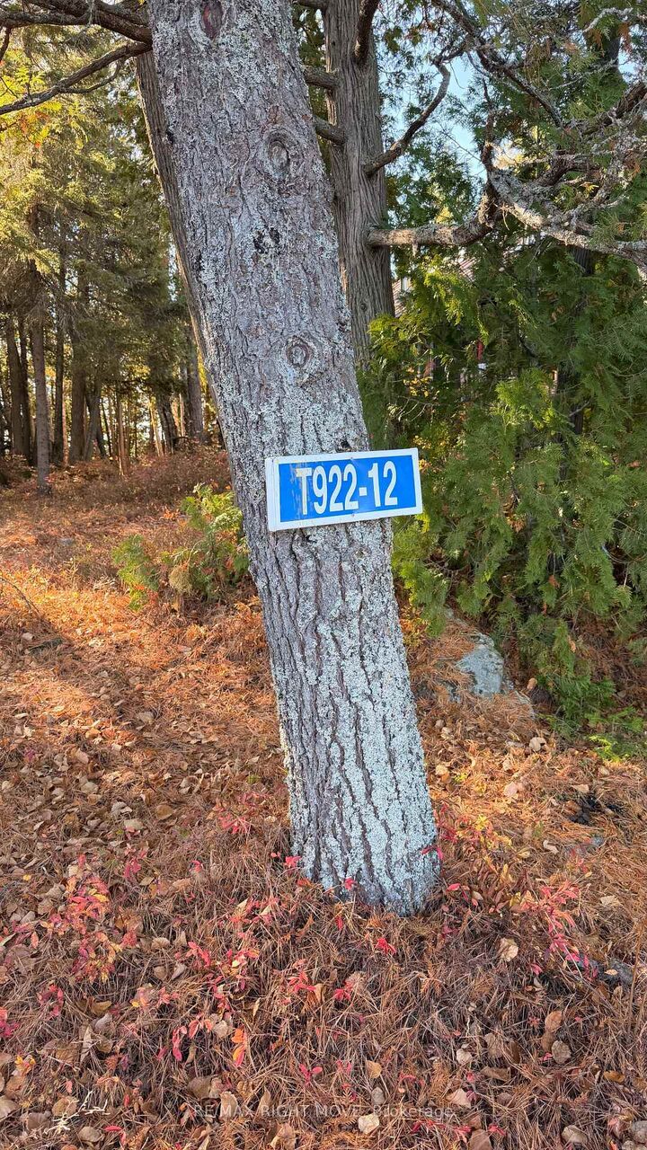 Property Photo:  12 Lake Temagami Island N/A  ON P0H 2H0 