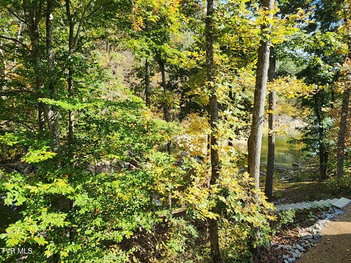 Property Photo:  22067 Parks Mill Road  VA 24211 