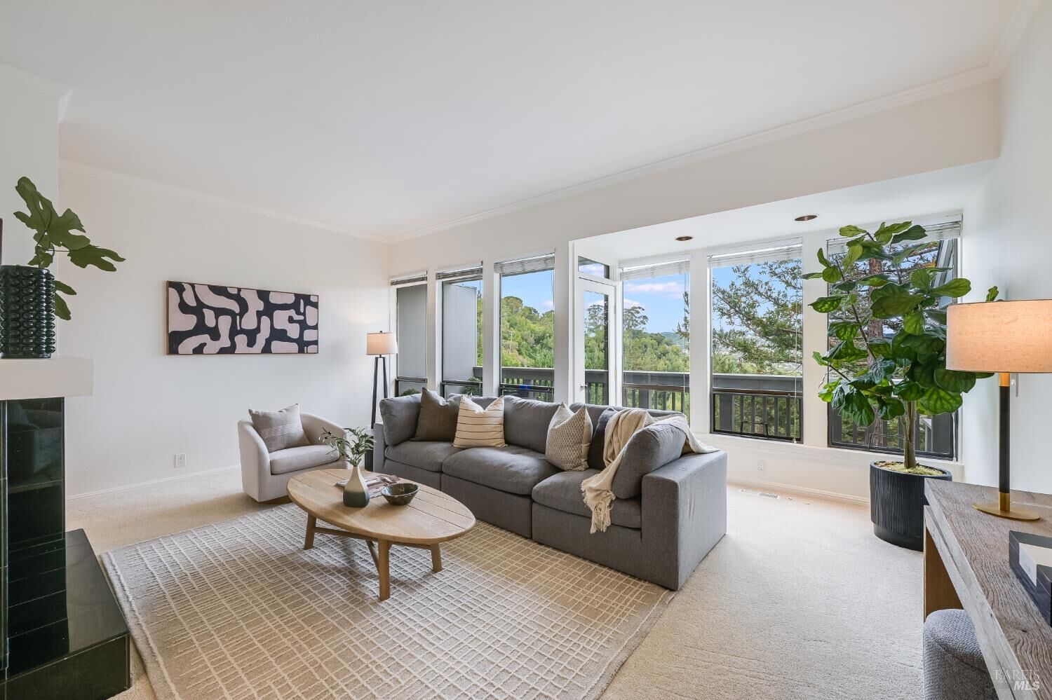 Property Photo:  263 Channing Way  CA 94903 