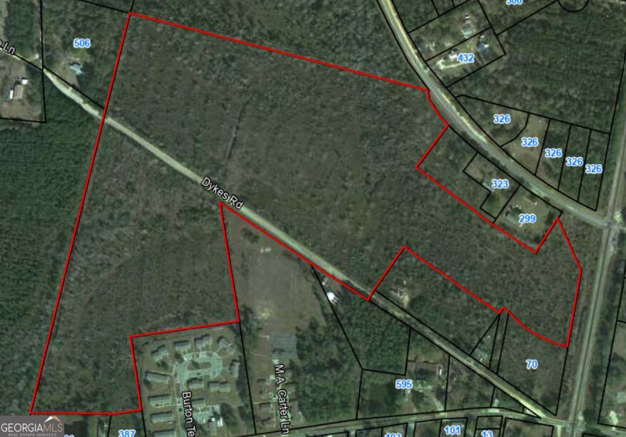 Property Photo:  V/L Burton Street  GA 31553 