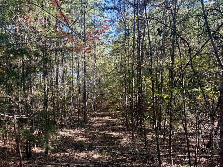 Property Photo: 415 Windy Ridge Drive TN 37321