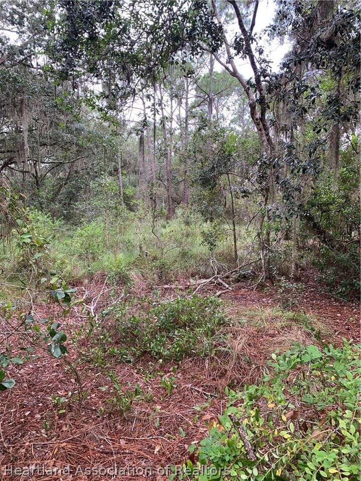 Property Photo:  452 Highlands Lake Drive  FL 33852 