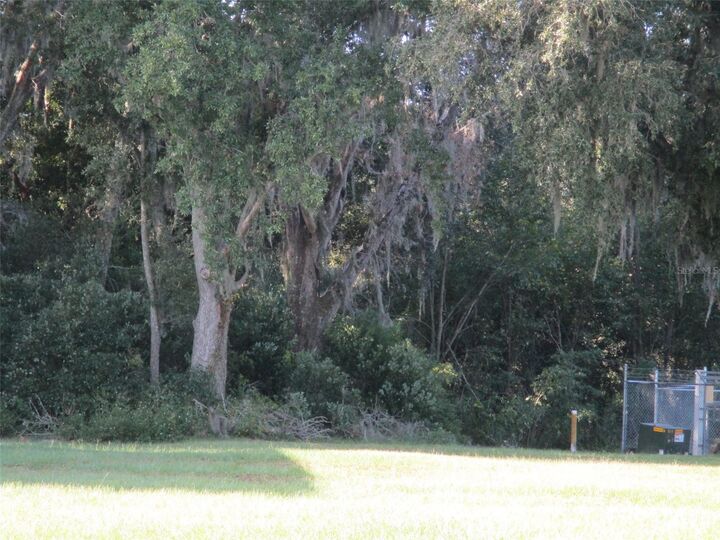 Property Photo:  Lot 2 Monet Drive  FL 33540 