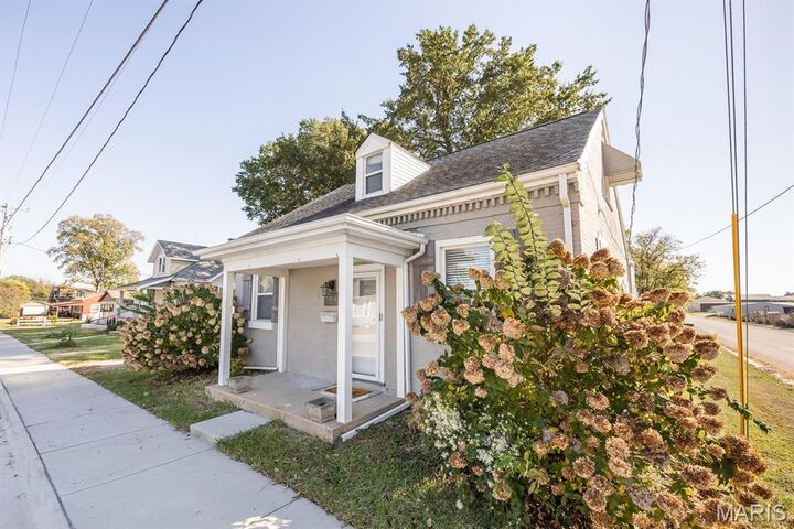 Property Photo:  204 E Laurel Street  IL 62260 