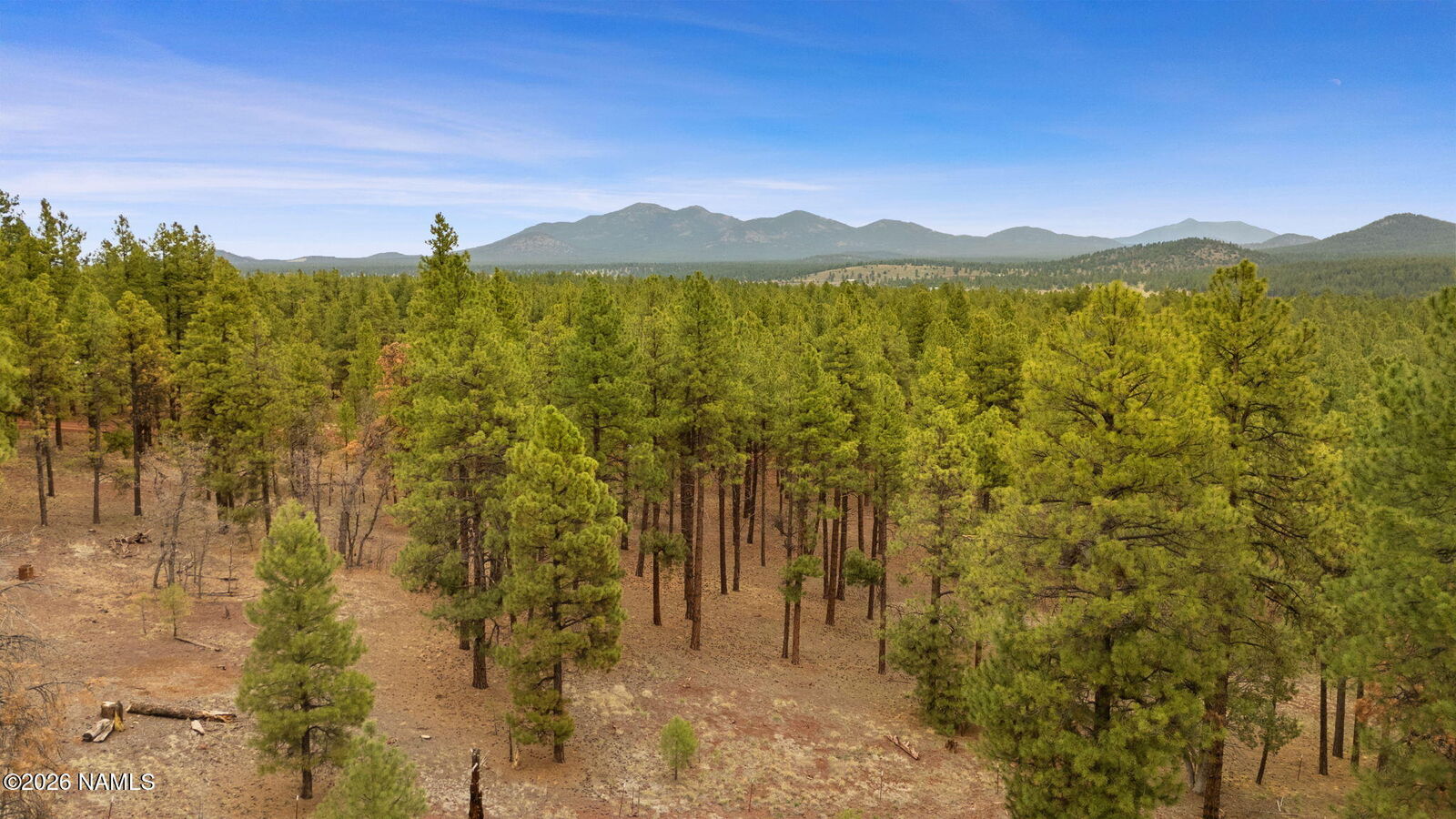 Property Photo:  7804 E Long Bow Drive  AZ 86046 
