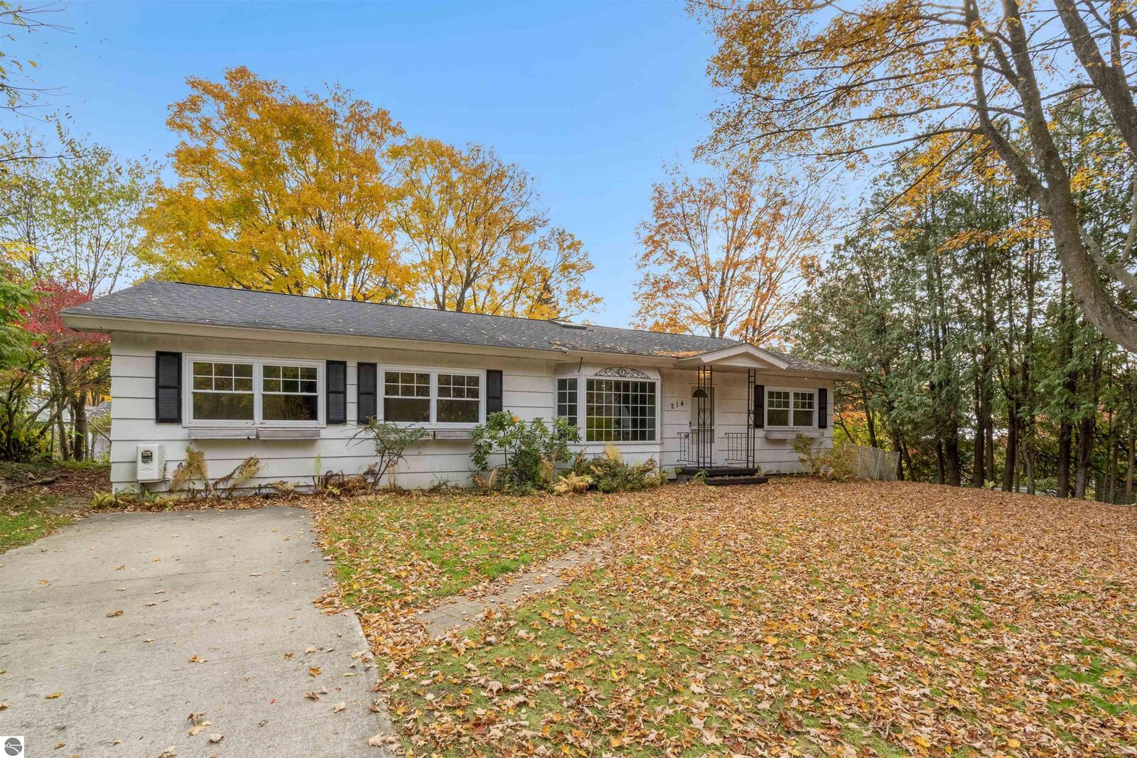 Property Photo: 214 Fulton Street MI 49684