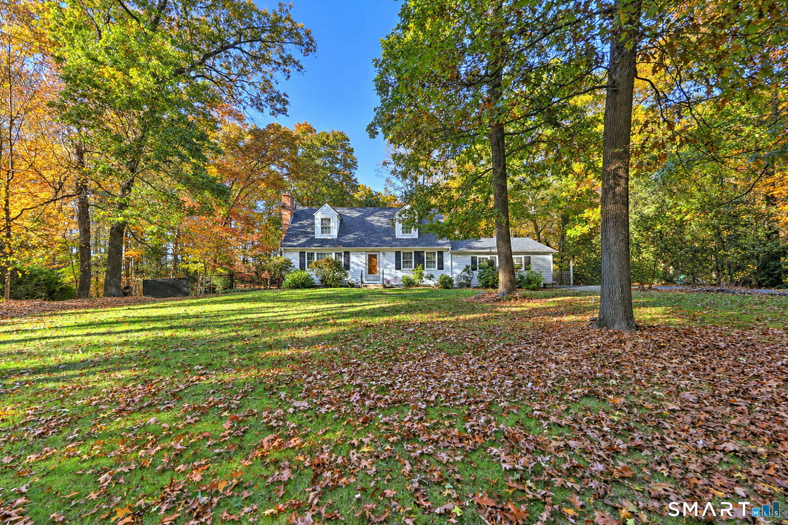 Property Photo:  131 Pepper Tree Hill Lane  CT 06488 