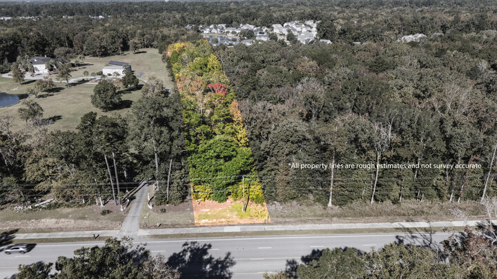 Property Photo: 10019 Delemar Highway SC 29485