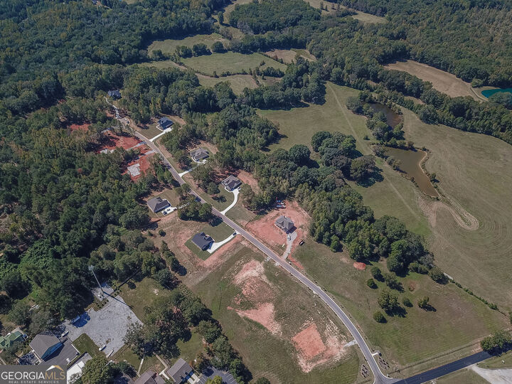 Property Photo: 273 Hidden Meadows GA 30218