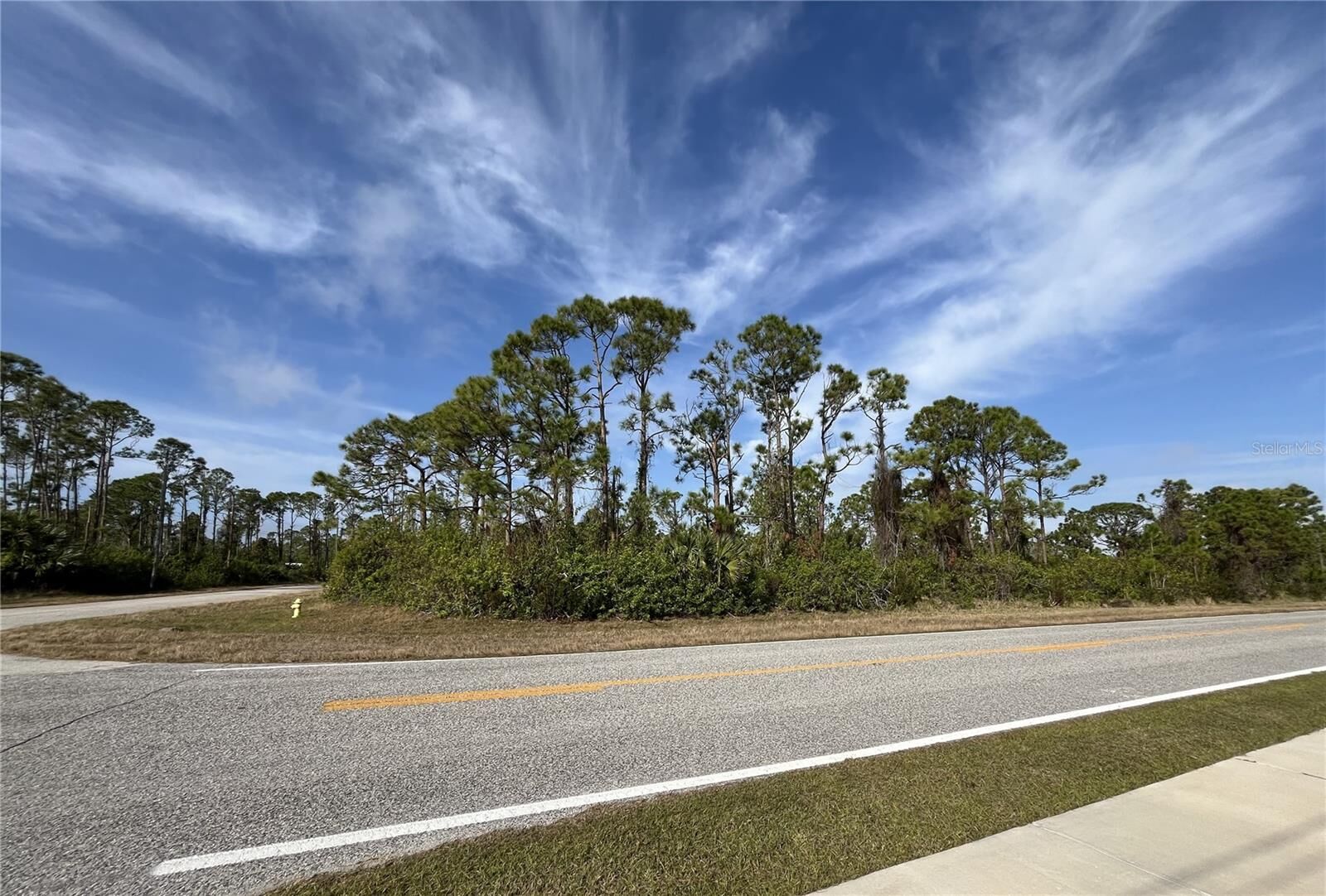 Property Photo:  14767 San Domingo Boulevard  FL 33981 
